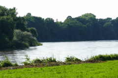 P1020273
